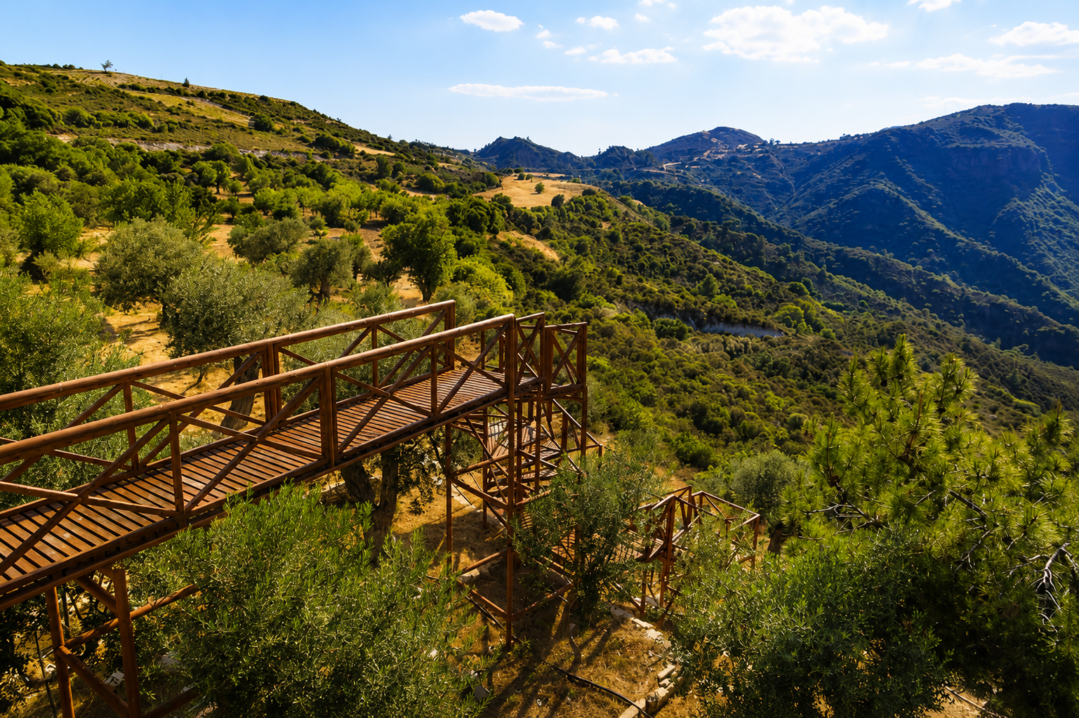 Terra Oliva estate